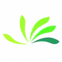 Bearys Institute of Emerging Sciences logo