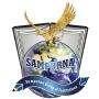 Sampoorna Institute of Technology and Research logo