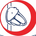 Shifa Institute of Allied Health Sciences logo